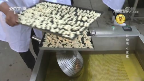 我爱发明 《我爱发明》 20191005 扭动吧 小麻花