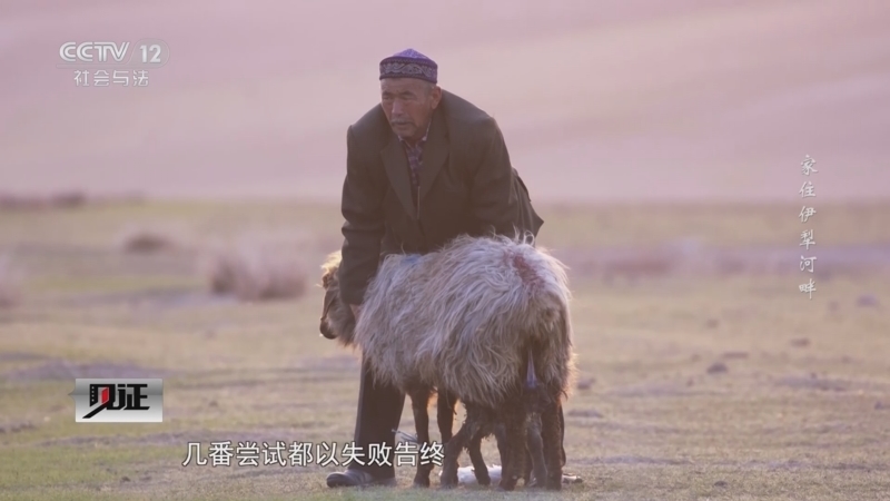 见证 《见证》 20240707 家住伊犁河畔