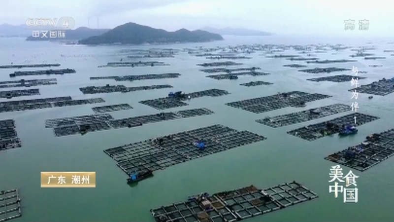 美食中国 《美食中国》 20220406 与鲜为伴（1）