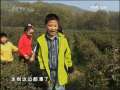 快乐体验 《快乐体验》“天下第一泉”传奇（上）