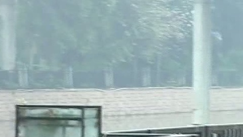 小强热线 小强热线20150324