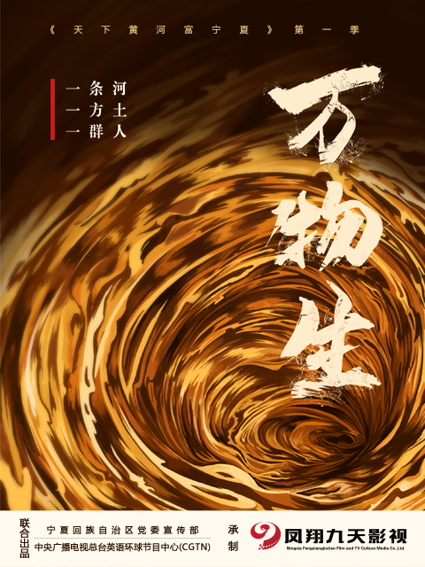 天下黄河富宁夏 海报