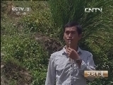 生财有道 《生财有道》 20131021 大山中的秀才“鹿倌”
