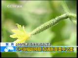 共同关注 共同关注 2010-12-11
