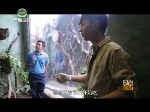 时尚旅游 《时尚旅游》 20141121 香港——梦幻之都 动感天堂