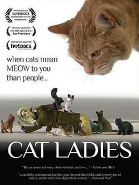 猫女士 海报