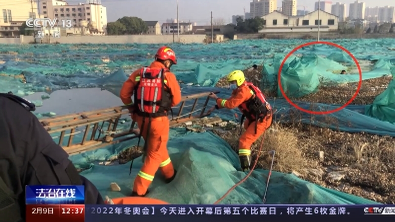 法治在线 《法治在线》 20220209
