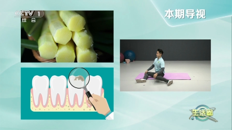 生活圈 《生活圈》 20230406