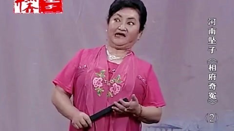 河南坠子 河南坠子 相府奇冤 二部