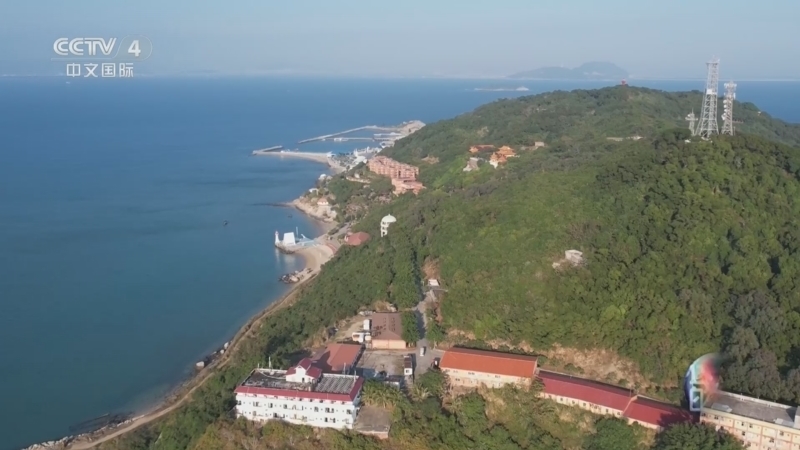 远方的家 《远方的家》 20260204 山河锦绣看中国 岭南花开 山海并“茂”
