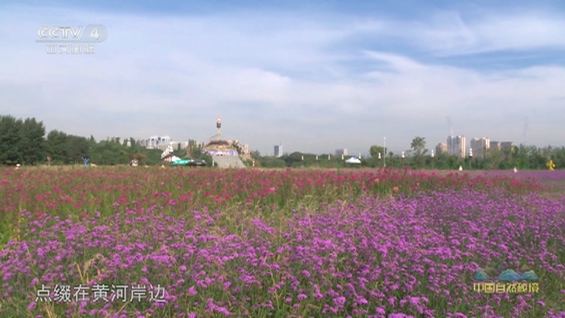 远方的家 《远方的家》 20250902 中国自然秘境 青山连绿水 林海接碧波