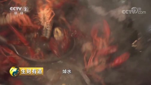 生财有道 《生财有道》 20190619 夏日经济系列——伏羲山下财路多