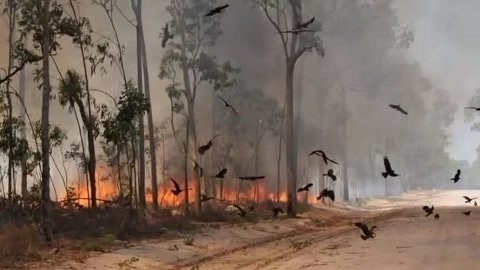 城市资讯台20200108