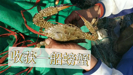 南澳岛赶海日记 小伙出海抢收放海里3天的螃蟹网，一上网就发现不对，场面好激动