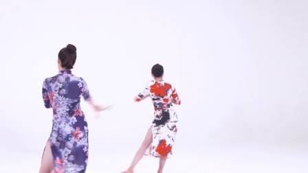 琵琶语-尚岩（教学分解）