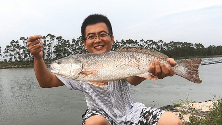 思乡渔夫 听说养殖场跑了大鱼，渔夫赶紧带上鱼钩...
