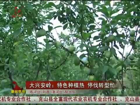 全省新闻联播 《全省新闻联播》 20140510