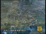 踏遍华夏寻美味 拼死吃河豚