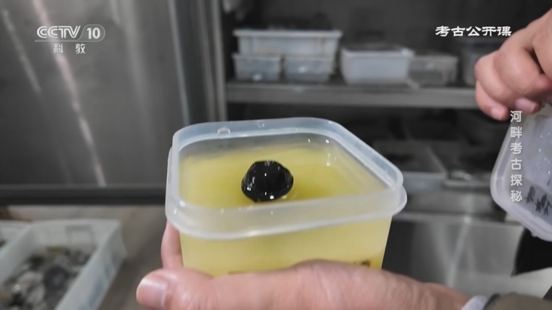 《考古公开课》 20260314 河畔考古探秘