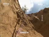 走近科学 《走近科学》 20161220 荒漠地毯