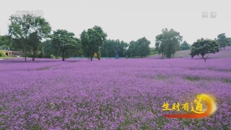 生财有道 《生财有道》 20220523 生态中国沿海行——面朝大海 旅游生财