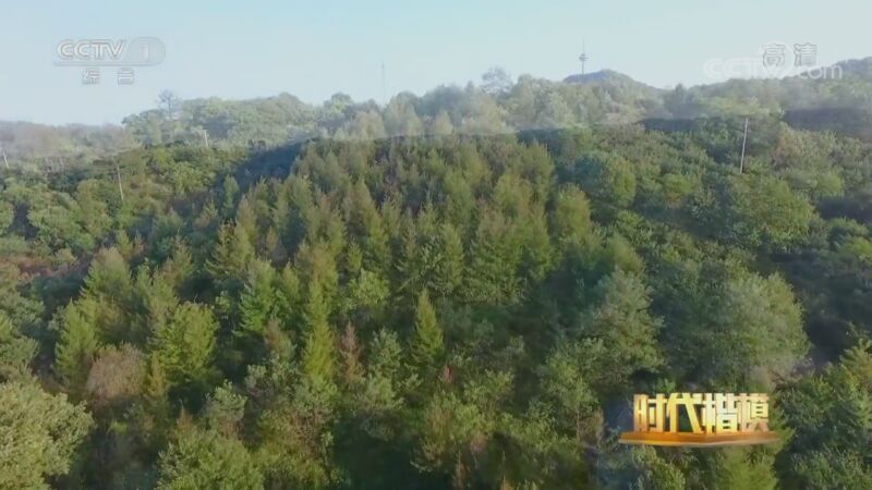 时代楷模发布厅 《时代楷模发布厅》 20201025