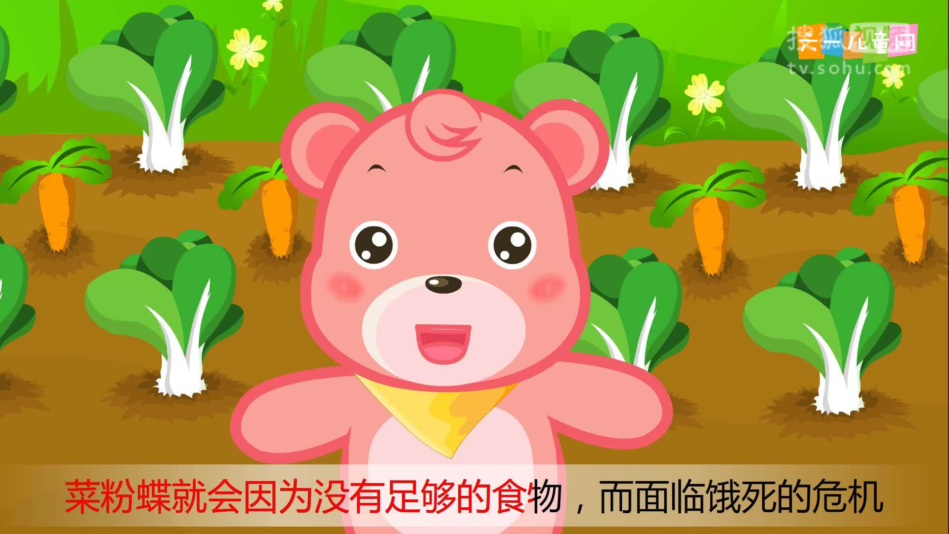 嘟拉十万个为什么 嘟拉十万个为什么 201为什么春天的菜园子里会有许多菜粉蝶？