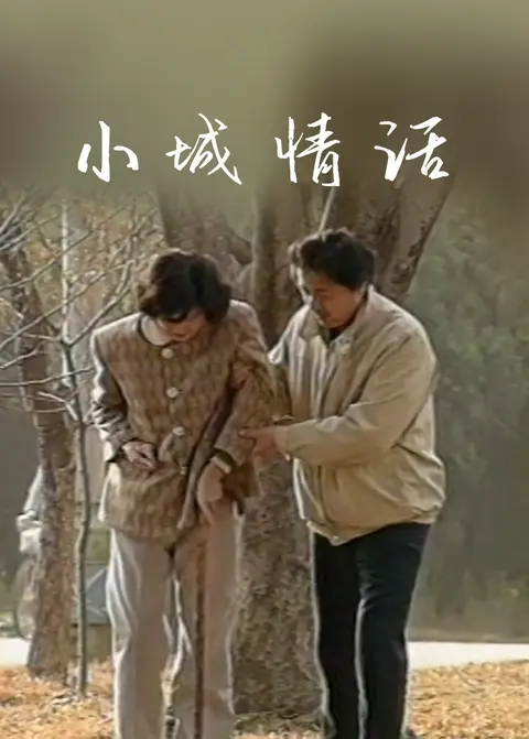 小城情话 海报