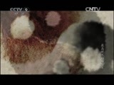 《时代写真》 20120208 最高境界的格斗术 第三集