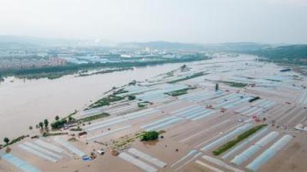 牡丹江洪水已形成！直击黑龙江五常、尚志受灾救援现场 