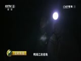 生财有道 《生财有道》 20170204 冰雪经济系列——冰天雪地里的火红生意 精编版