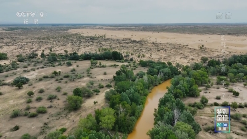 《荒野至上》第二季 第7集 复归