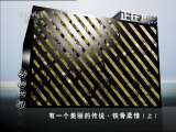动物世界 动物世界 2011年 第1期