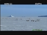 人与自然 《人与自然》 20121105 自然发现 冰雪融化（上）