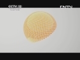 天网 《天网》 20130422 最后的防线