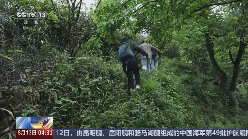 新闻直播间 《新闻直播间》 20260813 04:00