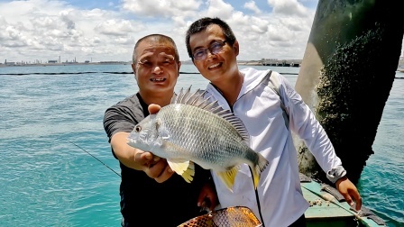思乡渔夫赶海 渔夫到桥墩钓大黄翅，老爸阿胖山当抄鱼小工，鱼太多忙坏父子俩