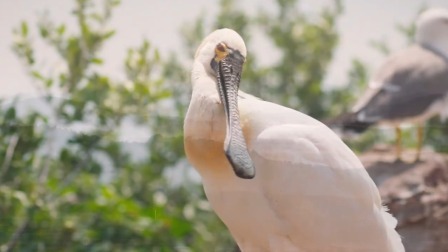 候鸟的旅行箱 立夏