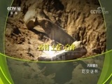 地理中国 《地理中国》 20180616 乾安谜林