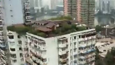 播报多看点 武汉惊现最牛“空中花园”