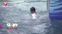 男生女生向前冲 第七季 男生女生向前冲 151212