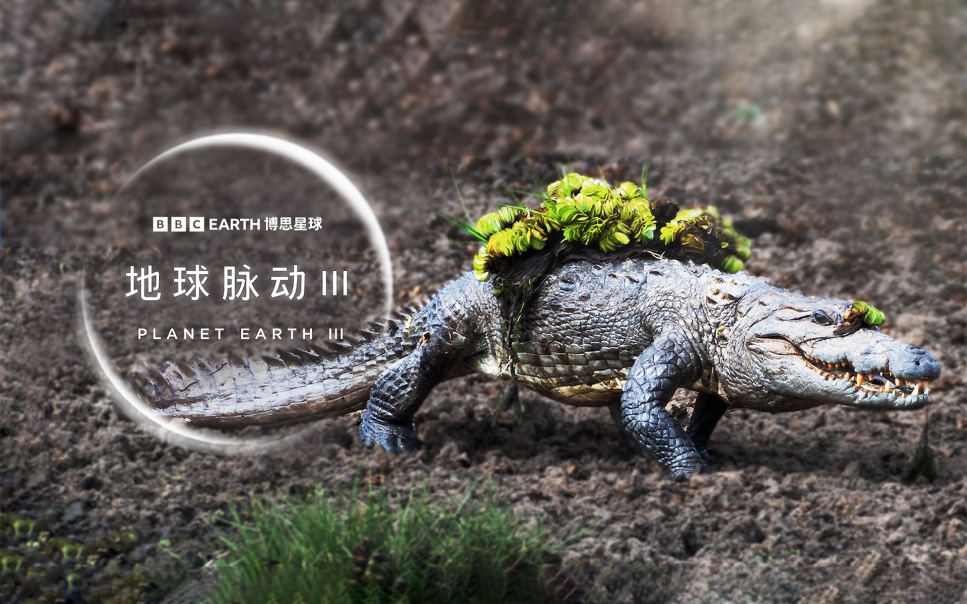 地球脉动 第三季 滴水之源