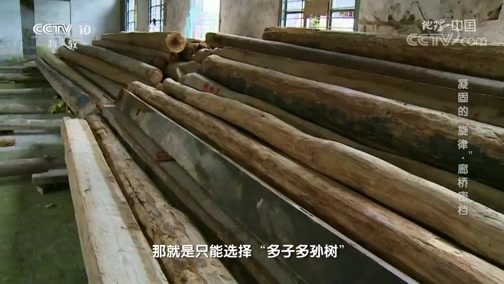 地理中国 《地理·中国》 20200510 凝固的“旋律”·廊桥密档