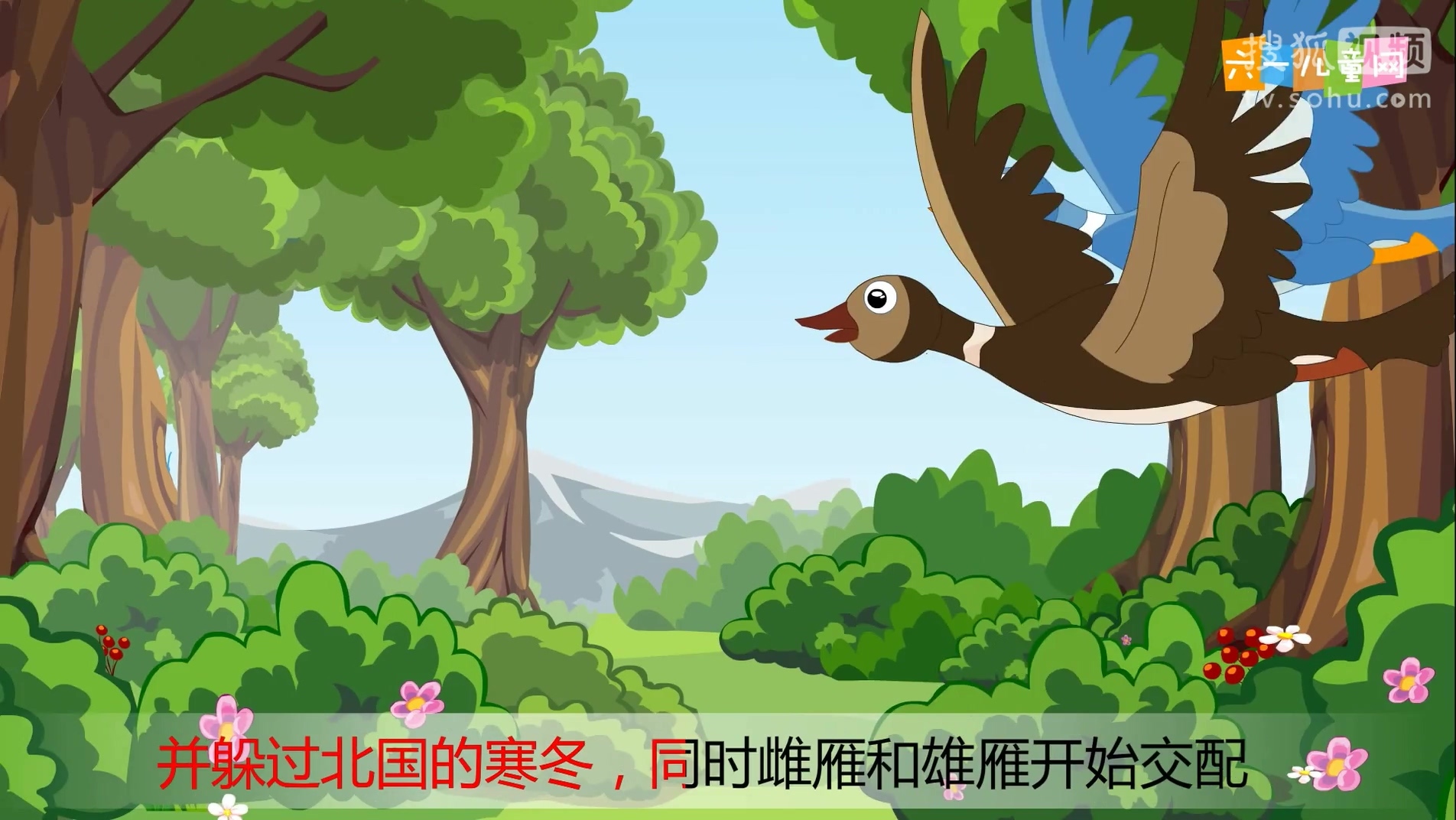 嘟拉十万个为什么 秋天为什么大雁往南飞?