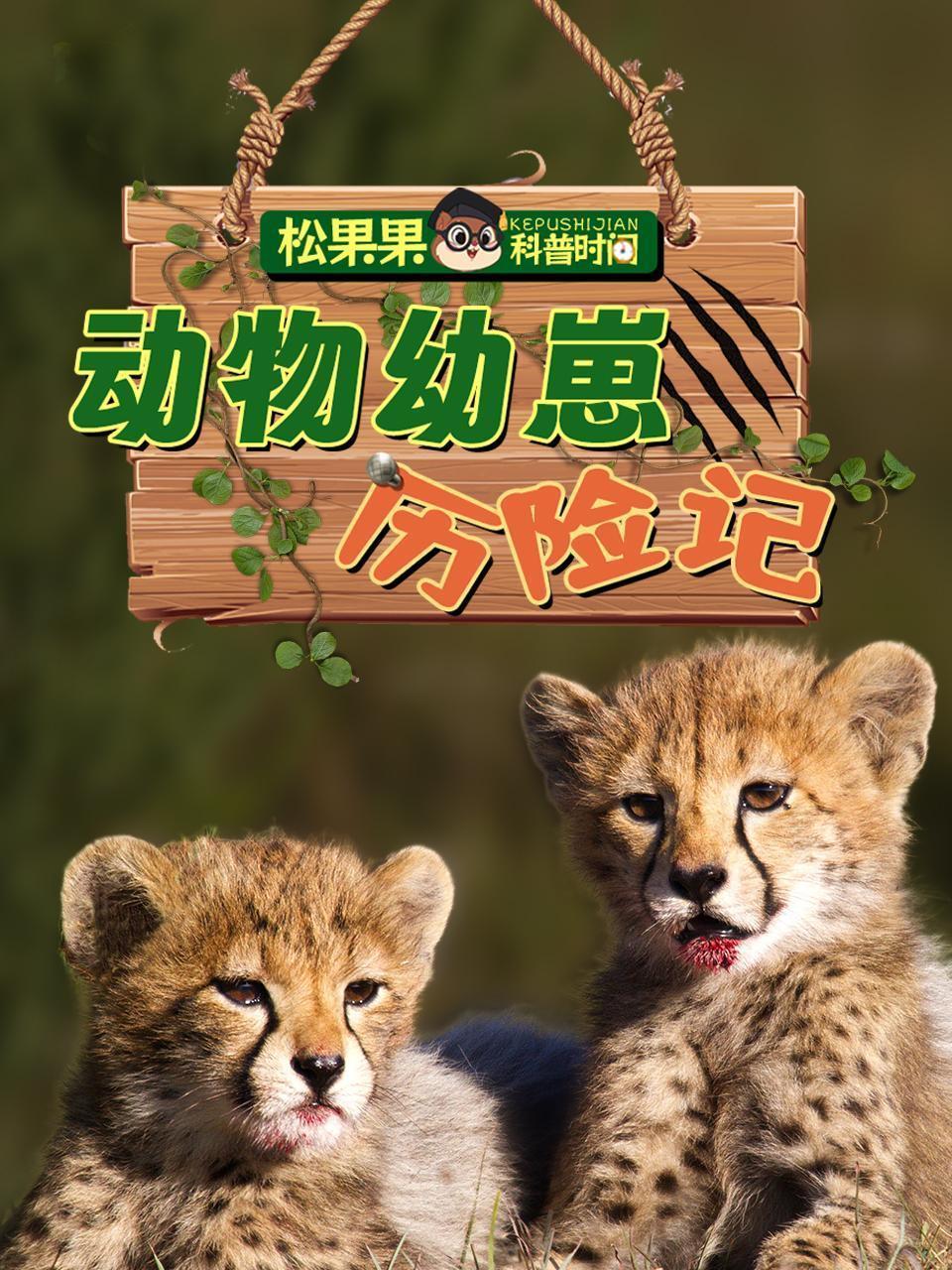 松果果科普时间：动物幼崽历险记