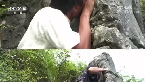 地理中国 《地理中国》 20190207 山河春色·秘郡古道
