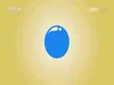 小小智慧树 《小小智慧树》 20170516