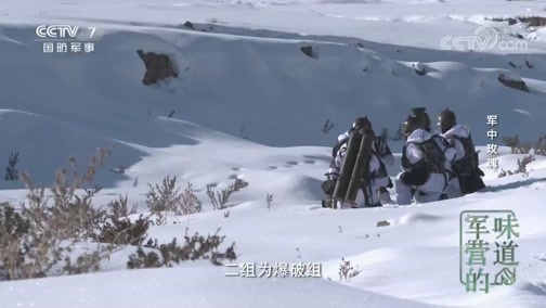 军营的味道 《军营的味道》 20200301 军中玫瑰
