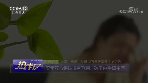热线12 《热线12》 20190316