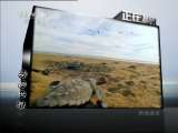 动物世界 动物世界 2011年 第83期